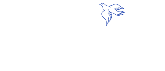 Mill Valley Fellowship